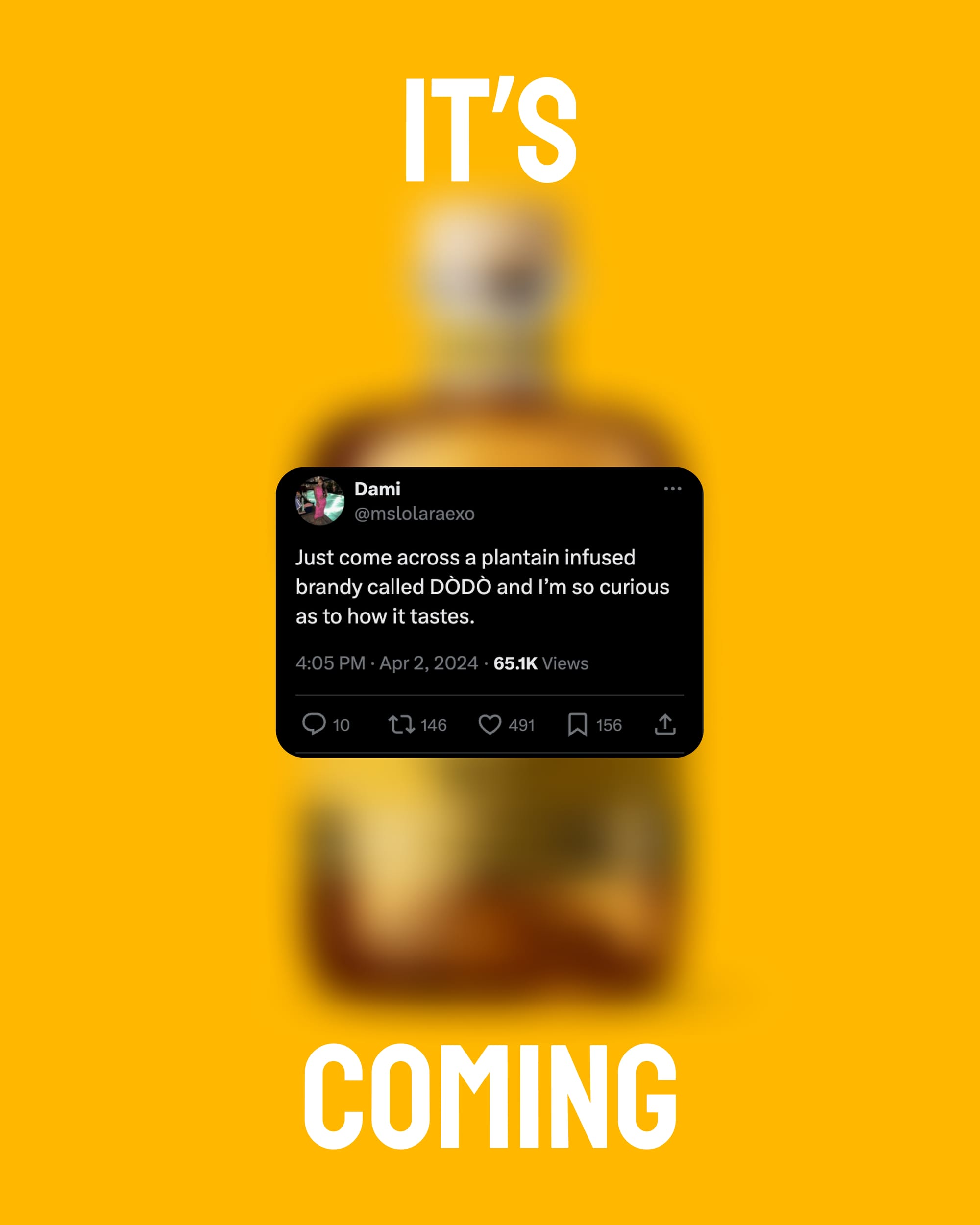 🥃 DÒDÒ Diaries #2