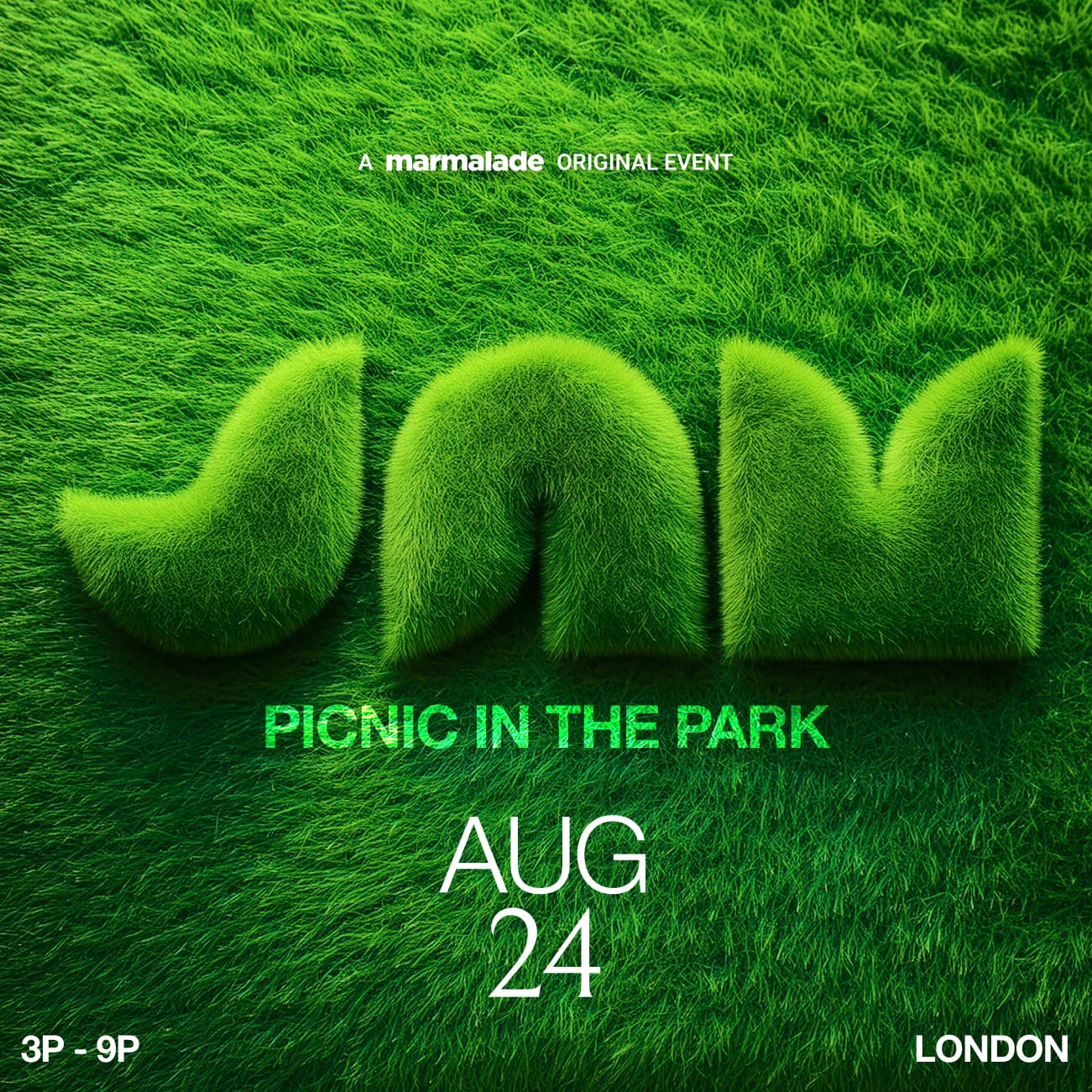 JAM: Picnic In The Park, Aug 24th - Supported by The Town Crier