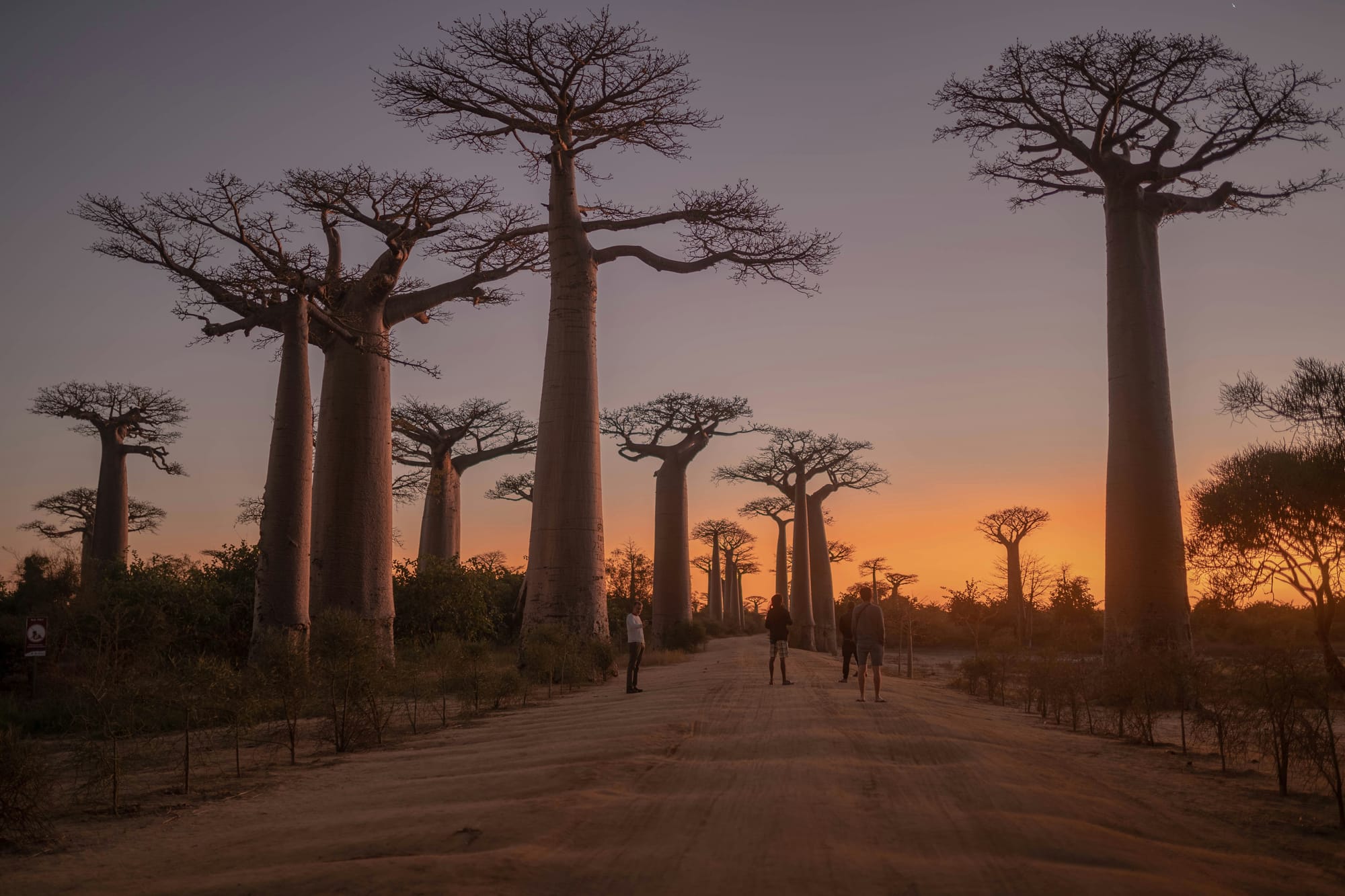 Africa Travel Show 2025: Your Complete Guide to London’s Gateway to Africa